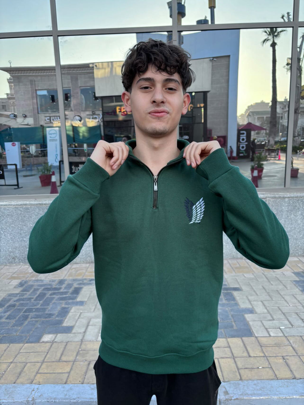 Attack On Titan Survey Corps Embroidered Quarter-Zipper