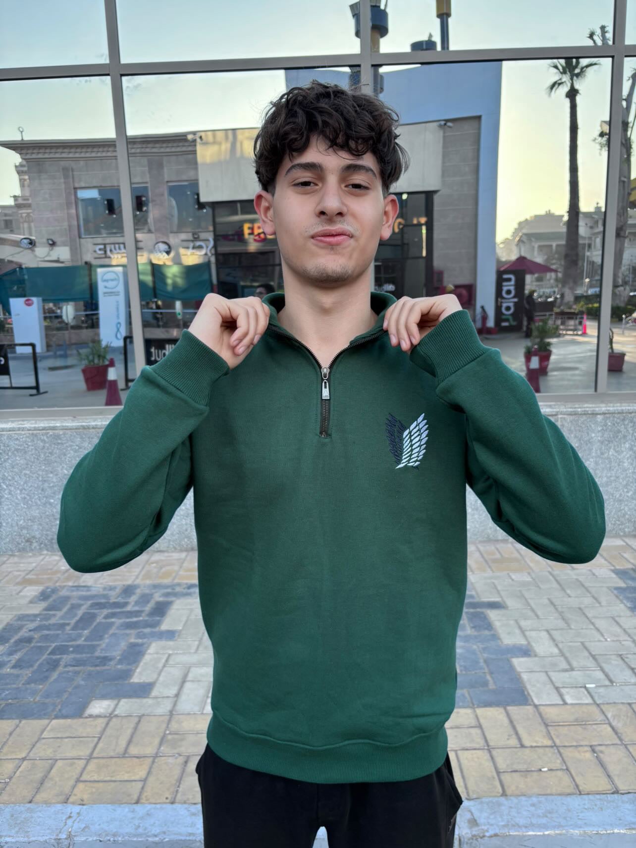 Attack On Titan Survey Corps Embroidered Quarter-Zipper