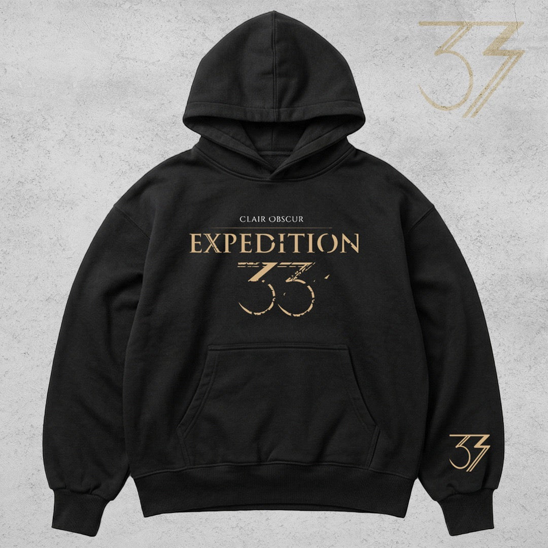 Clair Obsocure Expedition embroidered Hoodie