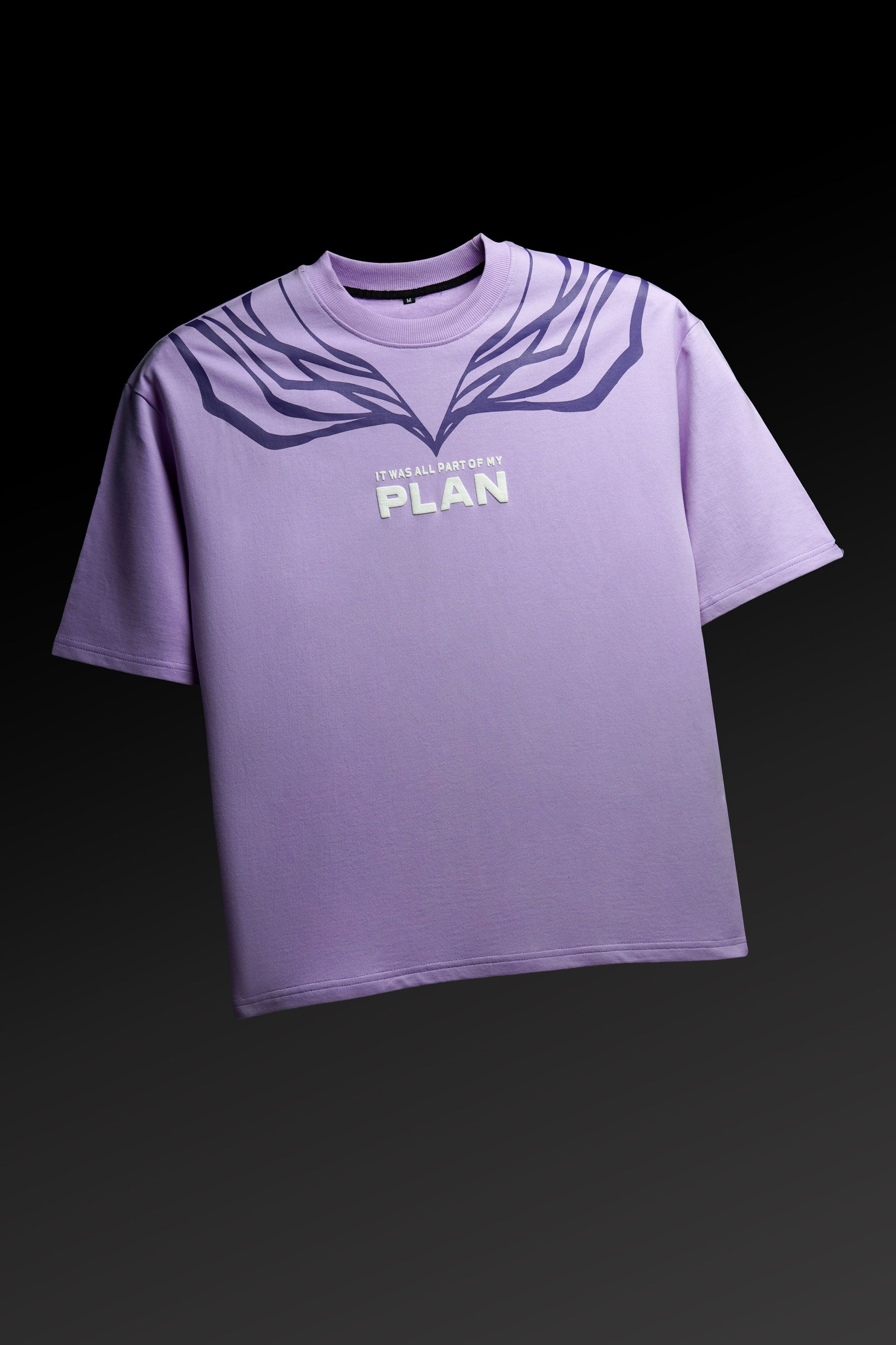 Aizen Premium Oversized Tee
