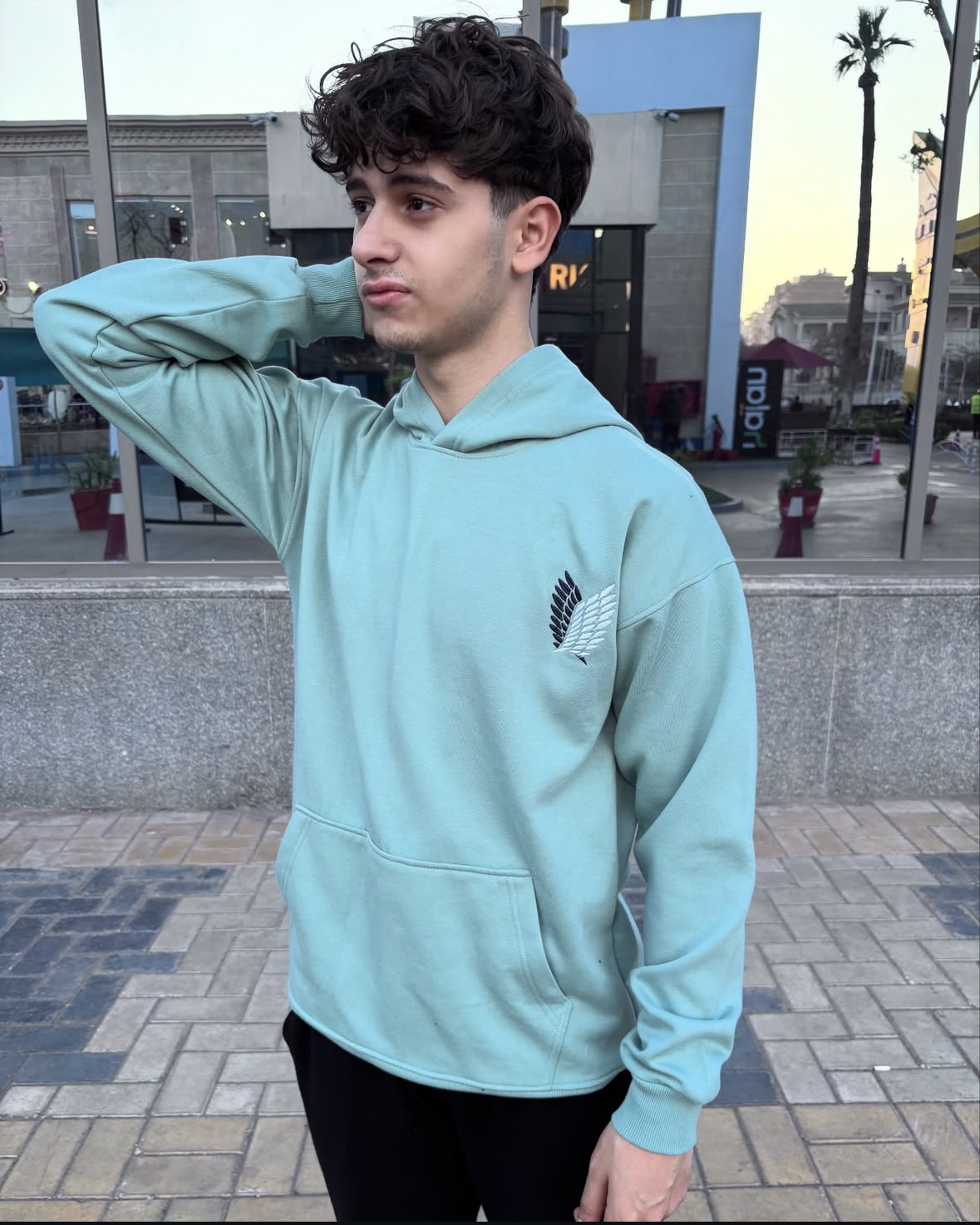 Attack on Titan Embroidered front Eren Yeager Hoodie